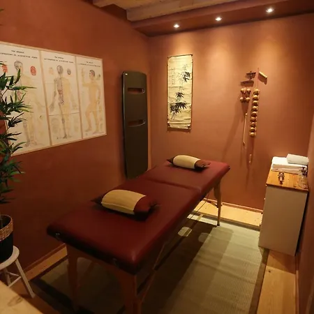 Le Vieux Ruisseau Sauna Et Massages Apartmán Lapoutroie