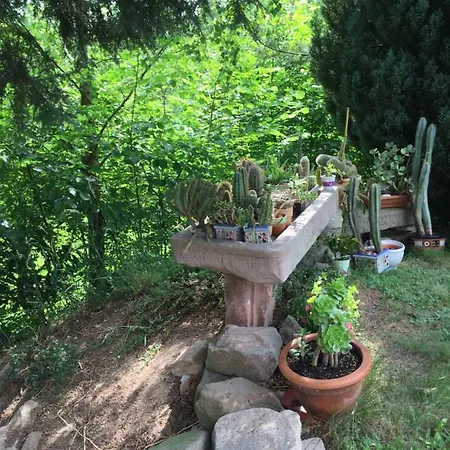 Le Vieux Ruisseau Sauna Et Massages * Lapoutroie